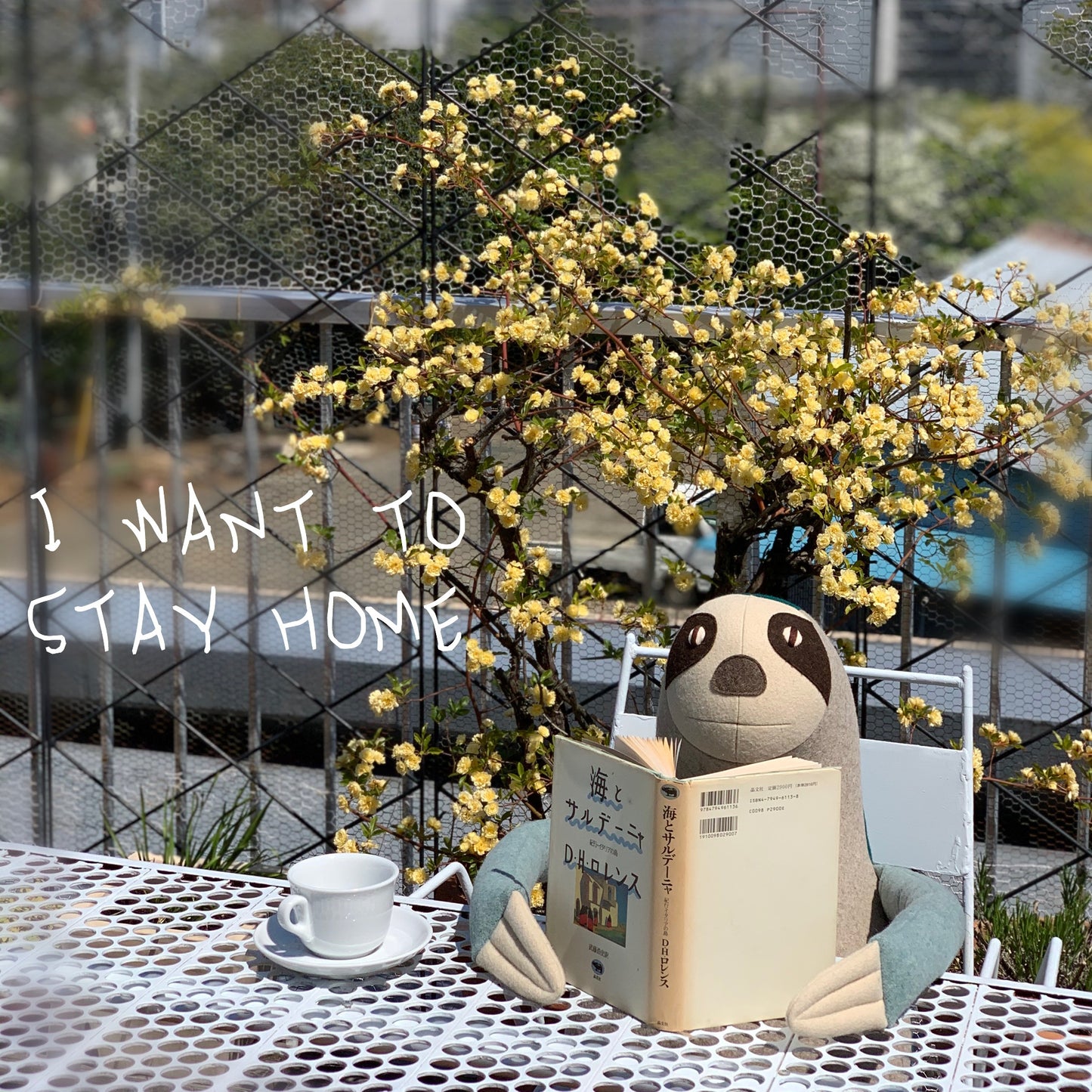 カラパウ/ナマケモノのネッド(NED) おしゃれな大人のぬいぐるみ